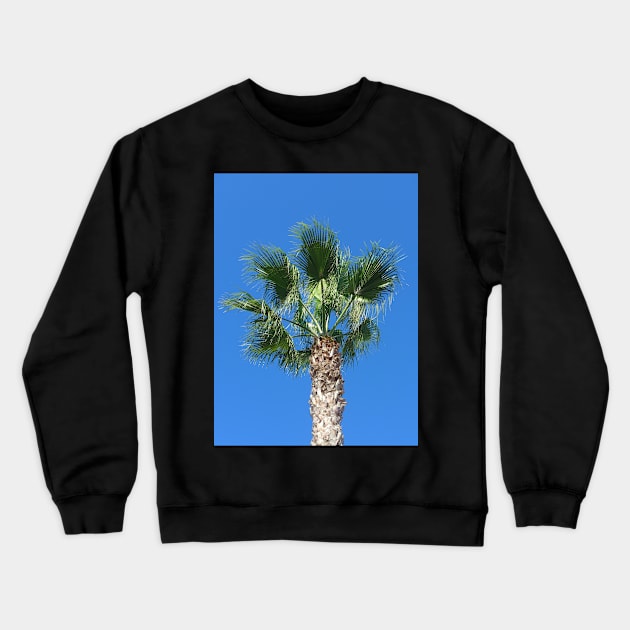 Close up of a Single Palm Tree with Blue Sky Crewneck Sweatshirt by Sandraartist